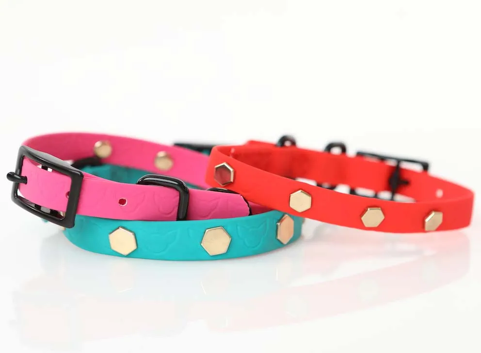 Chic Naughty Dog Sport Collar