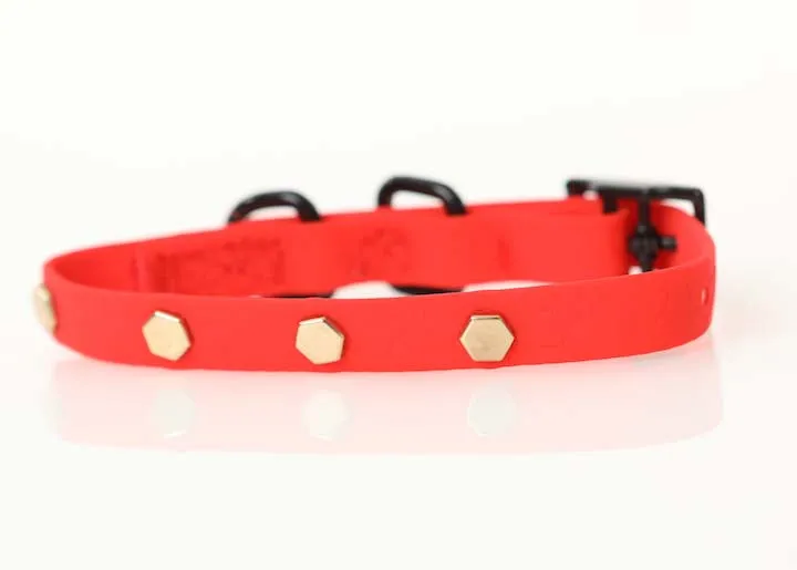 Chic Red Dog Sport Collar