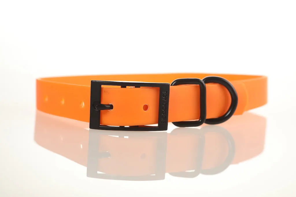 The Conquer Orange Dog Sport Collar